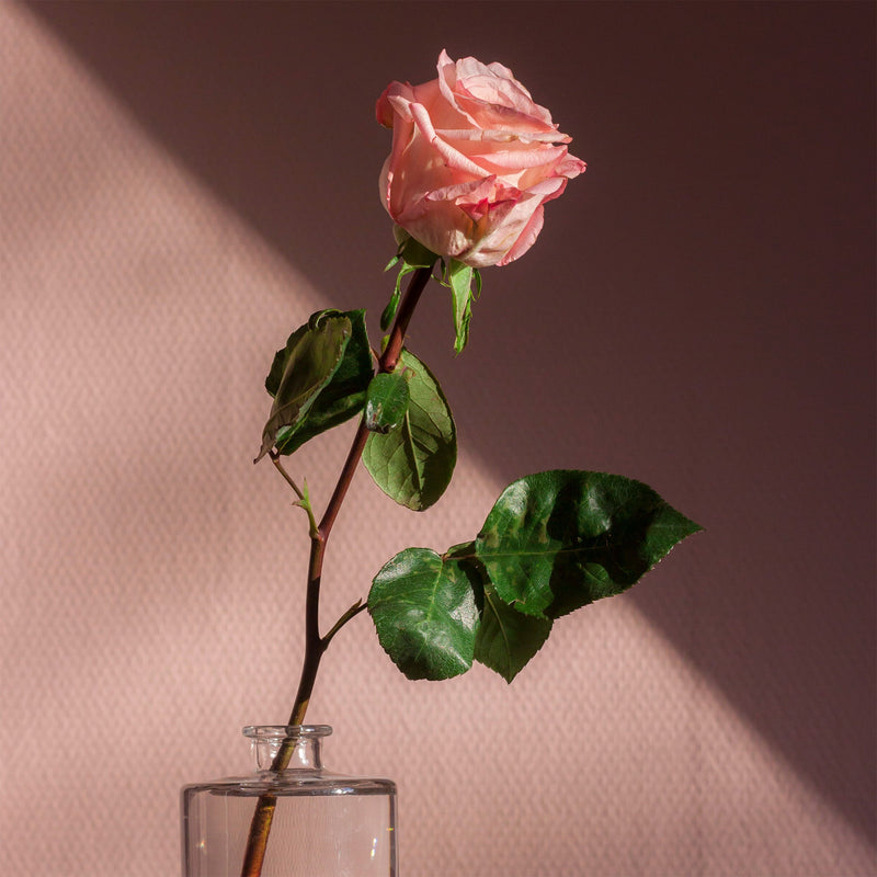 5 Ways to Romanticize Your Life With Scent